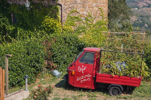 Carro retrô italiano é usado como canteiro de flores com tomates