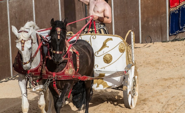 Foto carro romano en una lucha de gladiadores, circo sangriento