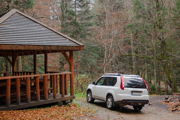 Carro suv branco no lugar do churrasco do gazebo da floresta do outono