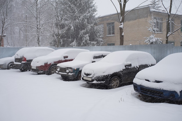 Carros cobertos de neve em um estacionamento.