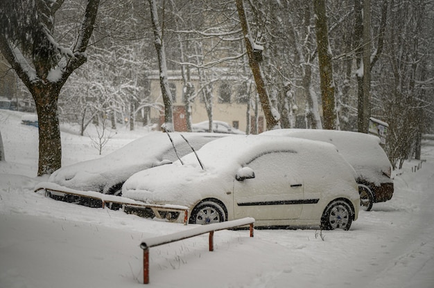 Carros cobertos de neve presos no estacionamento