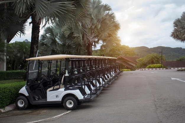 Carros de golfe elétricos estacionados de forma ordenada no estacionamento