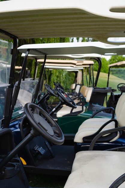 Carros de golf estacionados en un campo de golf Foto vertical