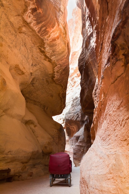 Carruagem de cavalos em Siq