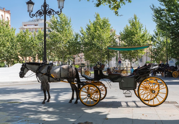 Carruagem de cavalos tradicional em Sevilha Espanha Transporte turístico