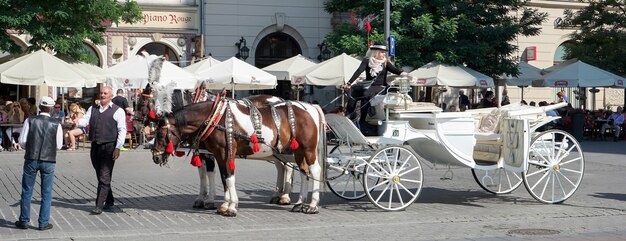 Carruagem e cavalos em Cracóvia