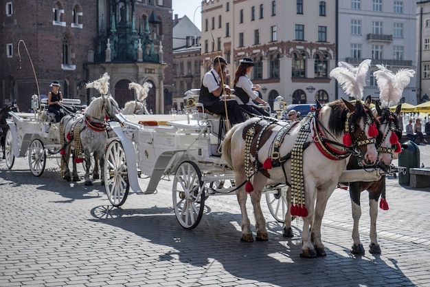 Carruagem e cavalos em Cracóvia