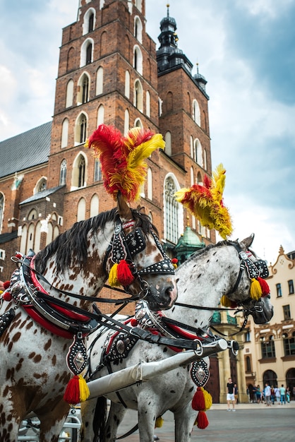 Carruagem estilizada com cavalos na histórica praça de Cracóvia