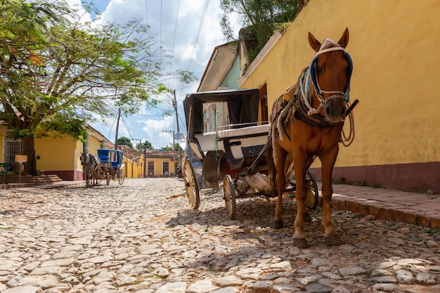 Carruaje de caballos en las calles de un pequeño pueblo cubano