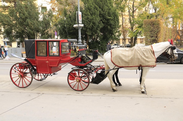 Foto el carruaje de caballos rojos.