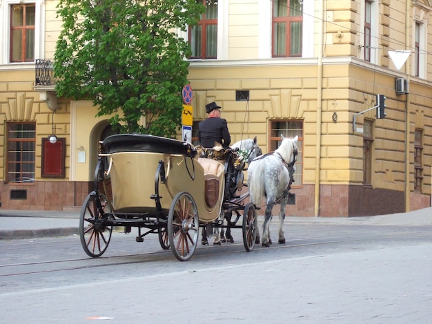 Carruaje ecuestre abierto en el casco histórico de la ciudad con dos caballos y un cochero