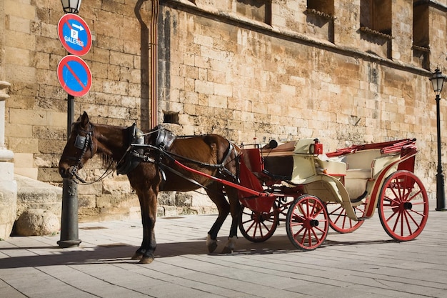 Carruaje en el estacionamiento, Mallorca, España