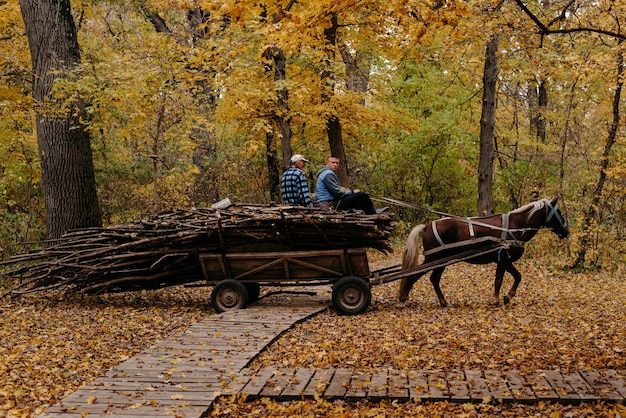 Un carruaje tirado por caballos de madera en el bosque.