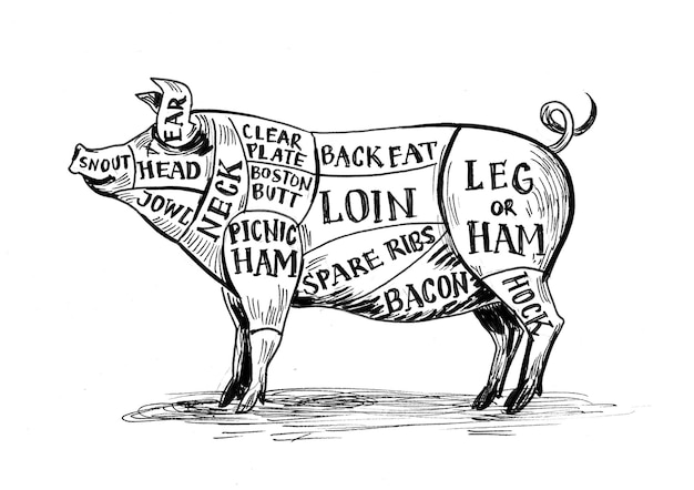 Foto carta de porco do açougueiro. desenho de tinta preto e branco