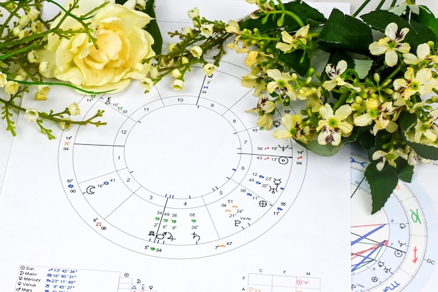 Carta natal de astrología Plano de astrología de historia de amor Plano de mapeo de vida esotérica cuando se casa