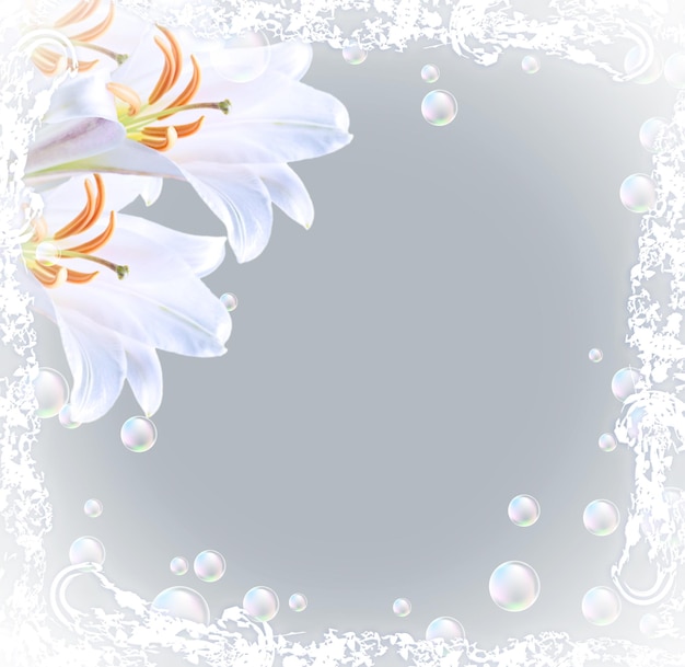Foto cartão com lírios e bolhas de buquê