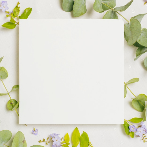 Cartão de casamento quadrado em branco sobre as flores roxas e folhas verdes em pano de fundo branco