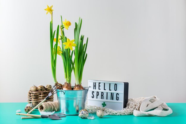 Cartão de férias de páscoa de primavera com flor de narciso, ovos de codorna e ferramentas de jardinagem