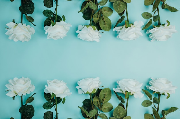 Foto cartão de frescura de primavera com flores. rosas brancas com folhas verdes. lindas rosas brancas com haste longa e espaço de cópia.