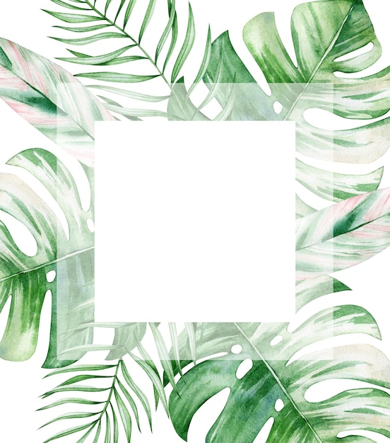 Cartão de ilustração em aquarela com quadrado branco e monstera isolado no fundo branco