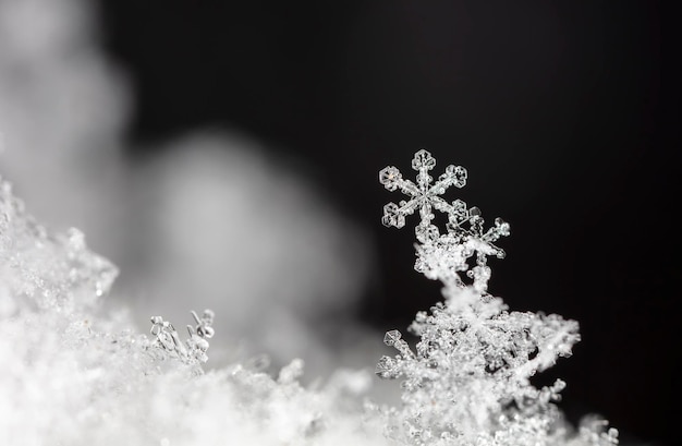 Cartão de inverno, cristais de neve, foto de inverno