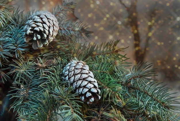 Cartão de Natal e Ano Novo com guirlandas e galhos de uma árvore de Natal com cones Lugar para texto