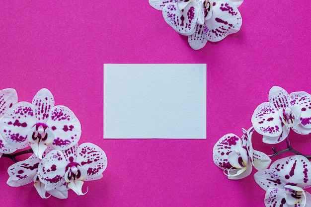Cartão de papel emoldurado com flores da orquídea em rosa brilhante