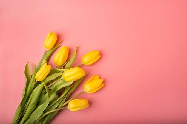 Foto cartão de primavera: tulipas amarelas sobre um fundo coral. vista de cima, plano.