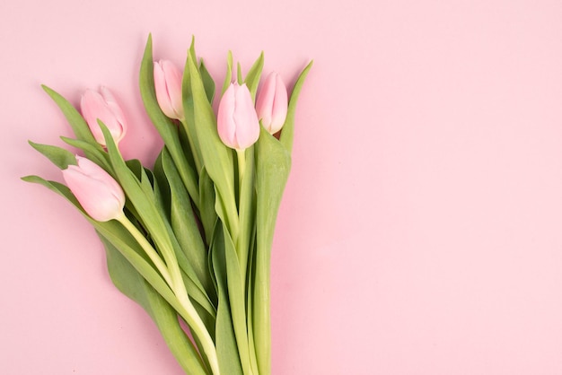 Cartão de saudação de tulipas cor de rosa para aniversário, feriado de páscoa, dia das mulheres, dia das mães, fundo floral