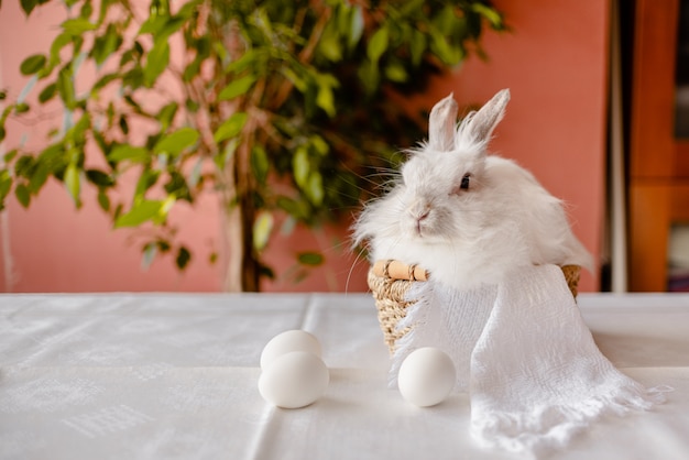 Cartão do feriado de Easter Um coelho branco que senta-se em uma cesta rústica com um guardanapo e os ovos da páscoa.