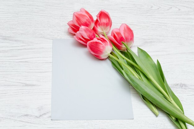 Cartão limpo, tulipas cor de rosa. Vista do topo