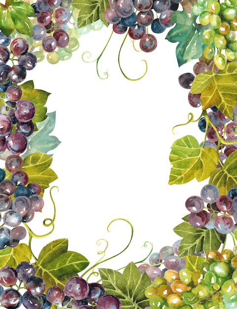 Cartão postal de uvas em aquarela com cachos e folhas de uvas nas bordas
