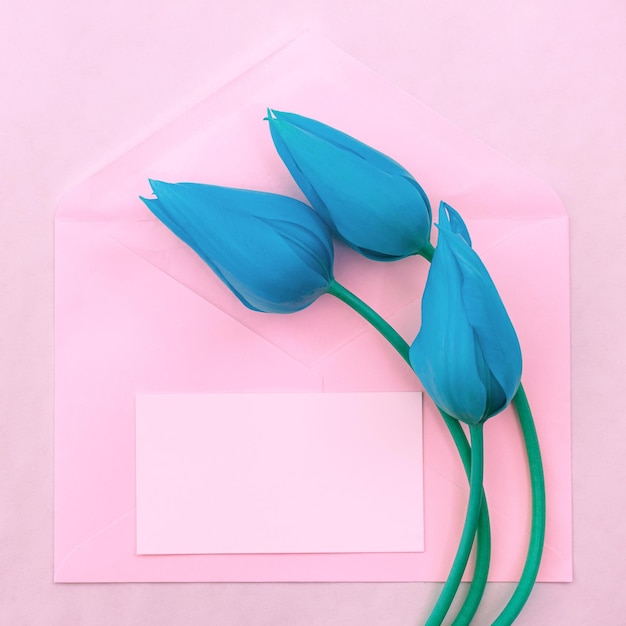 Cartão postal minimalista com um buquê de tulipas em um envelope