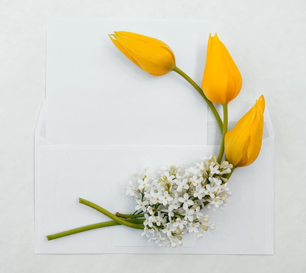 Cartão postal minimalista com um buquê de tulipas em um envelope