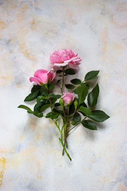 Foto cartão romântico com três botões de rosa