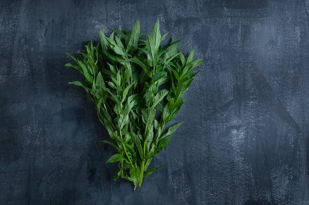 Cartaz criativo para alimentos orgânicos e ecológicos. Salve o cartaz do planeta. hortelã como uma árvore com raízes. Vista superior, plana leigos.