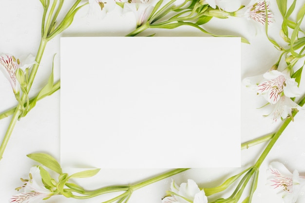 Foto cartel blanco en blanco rodeado de flores de alstroemeria