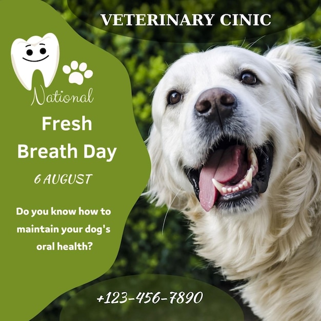 un cartel para una clínica de salud para perros con un fondo verde