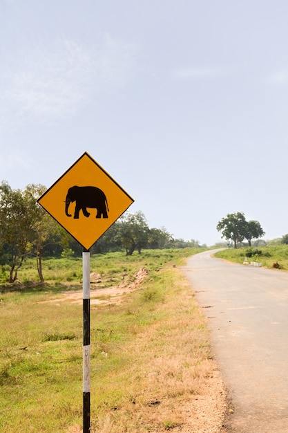 cartel con elefante en la carretera