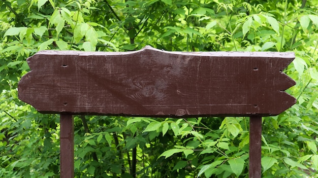Cartel de madera marrón sobre un fondo de hojas verdes, arbustos y árboles en un parque o bosque. Lugar para su texto o logotipo, publicidad. Copie el espacio. Signo en blanco, en blanco.