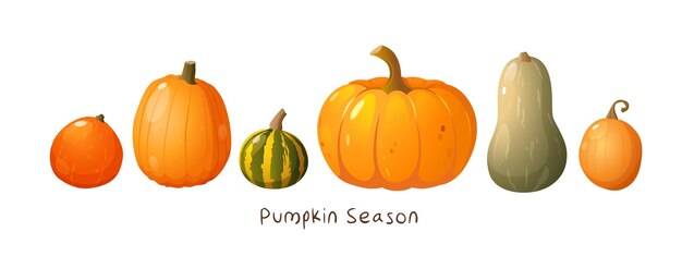 Cartel de otoño con calabazas de diferentes tipos y colores y letras de la temporada de calabazas
