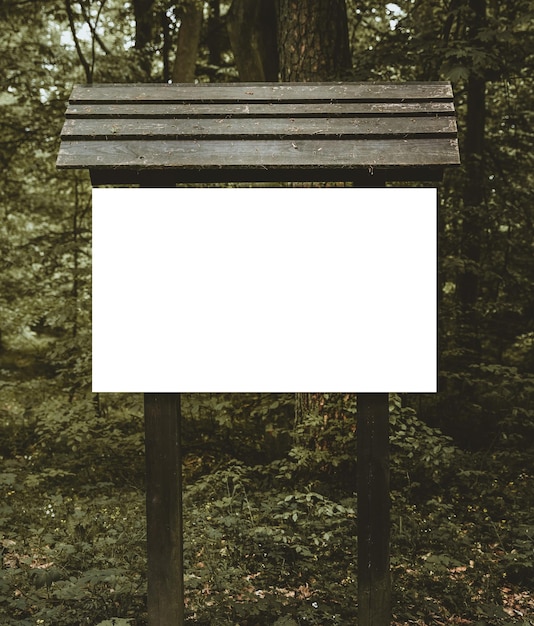 Cartel vacío en el bosque Maqueta de una tabla de madera informativa en el bosque