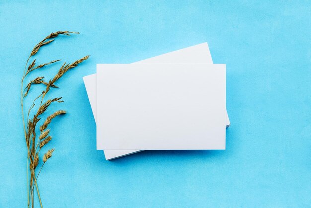 Cartões em branco brancos e galhos de plantas secas em um fundo azul um branco romântico suave para um cartão postal convite de casamento e vista superior do espaço de cópia