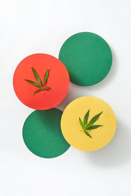 Cartões redondos de papel colorido com folhas de cannabis medicinal natural em uma mesa cinza clara, copie o espaço. Uso de cannabis para fins médicos. Vista do topo.