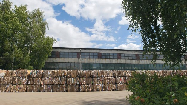 Cartón comprimido en el territorio de la planta del reciclaje en balas, gran angular