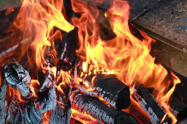 Carvão e chama de fogo