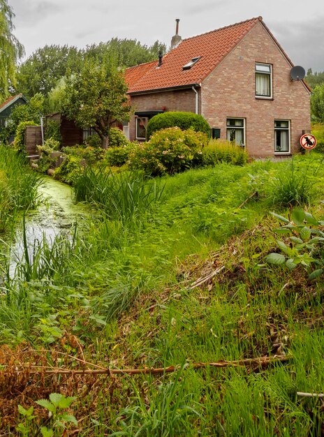 Casa à beira do rio ou canal na floresta e juncos nublados na cidade de Vlaardingen, Holanda