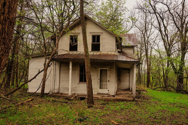 Casa abandonada en el bosque Foto