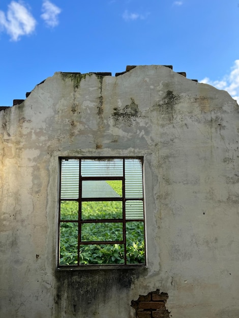 Casa abandonada en una granja en Brasil Ventanas rotas con fondo de plantación de soja