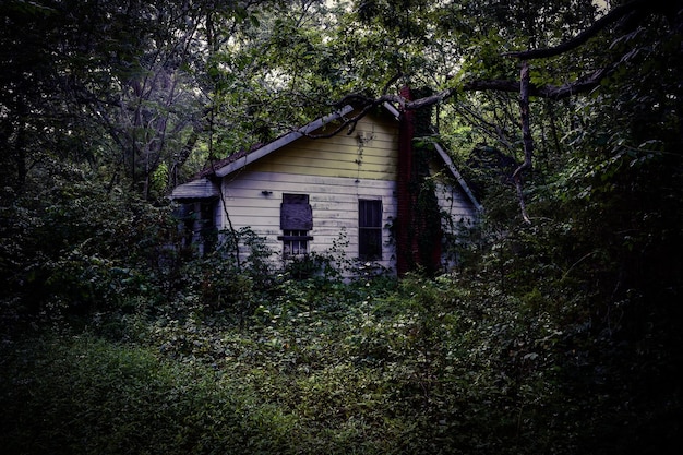 Casa abandonada en medio de los árboles en el bosque